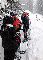 Berge und Ruhe: Schnee-Schuhwandern am Hochzeiger In Jerzens  (a-b)